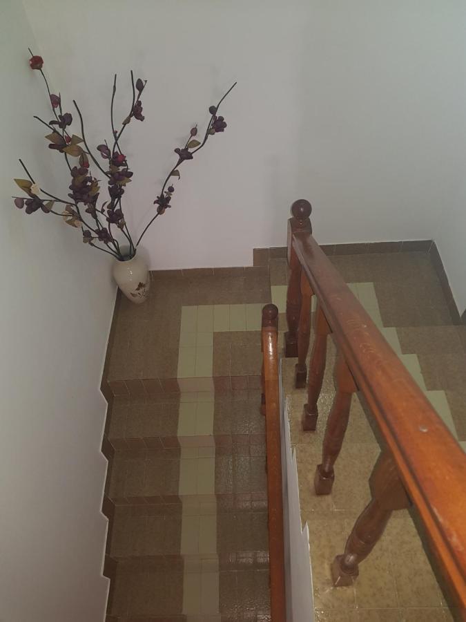 Sobe I Apartmani Marovic Petrovazzo Esterno foto