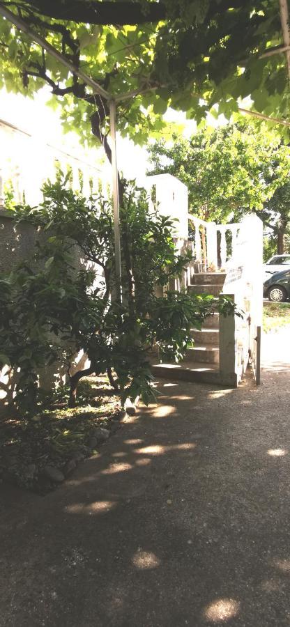 Sobe I Apartmani Marovic Petrovazzo Esterno foto