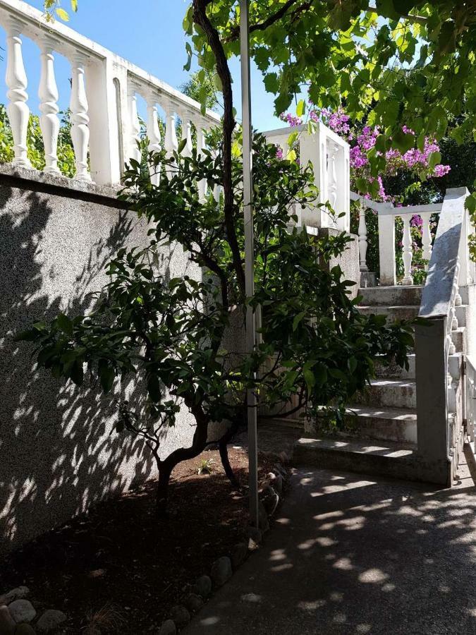 Sobe I Apartmani Marovic Petrovazzo Esterno foto